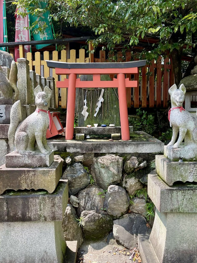 A Gentle Day in Yamashina – Temples, Trails & Tea