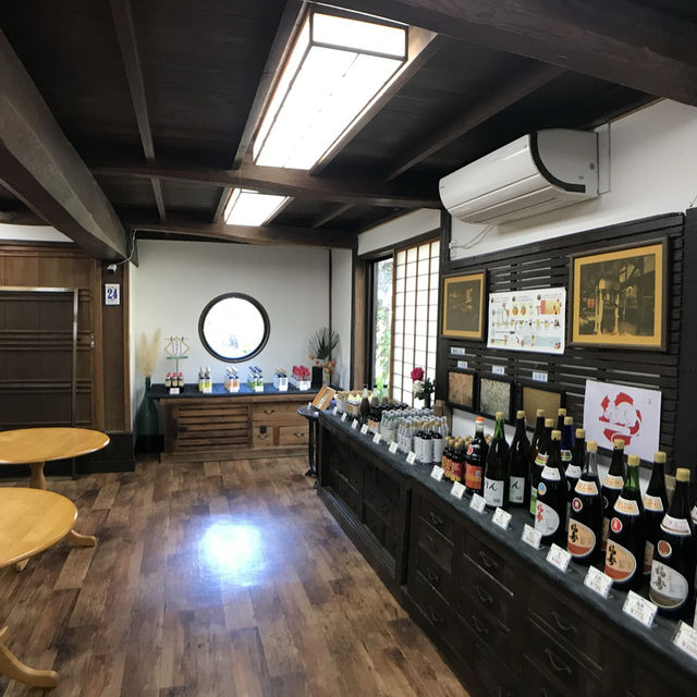 バチカンですか？いいえ徳島です🫢