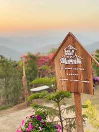 “หนีเมือง มานอนดูดาวที่ลานพันดาว” 🌲✨