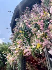 【端午假期慢遊雲南】昆明大理三天三夜，悠閒感受節日氛圍
