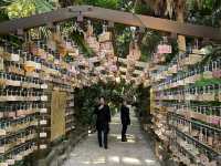 Spring Bliss at Aoshima Shrine