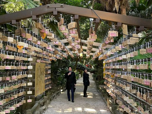 Spring Bliss at Aoshima Shrine