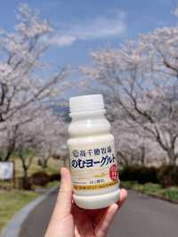 高千穗牧場——九州必訪的治癒系牧場！