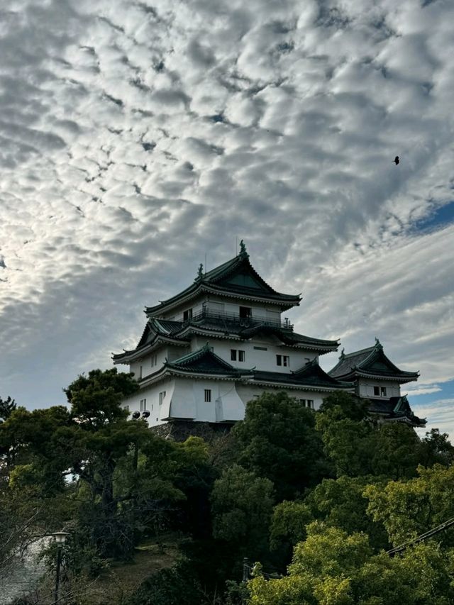 Castle Vibes 
