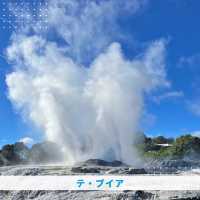 【NZ】🌋オークランドからロトルアへ！
