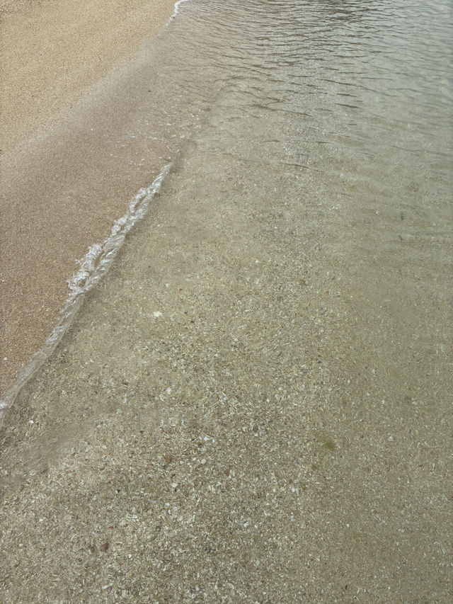 波の海ビーチ