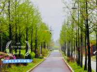 A Breath of Fresh Air at Misari Han River Park 4