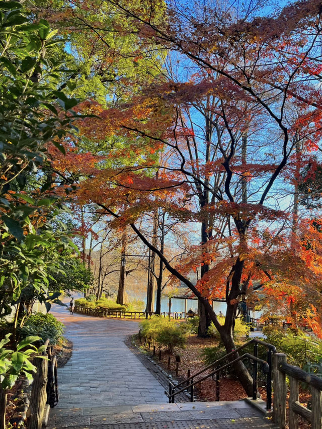 🌿 부산이든, 서울이든