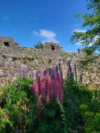 A Kiss of Legend: Wandering Through Blarney Castle & Gardens