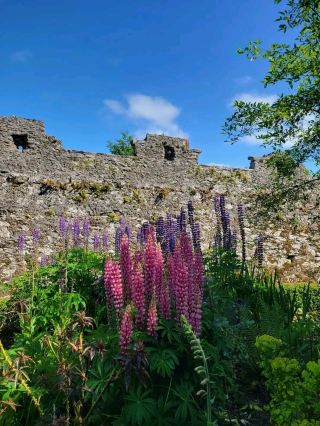 A Kiss of Legend: Wandering Through Blarney Castle & Gardens