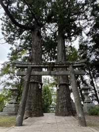 【大分旅行】別府では有名なパワースポット⛩見どころが多い神社⛩
