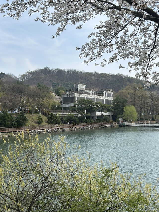 🌿 도심 속 작은 호수, 명암저수지에서의 여유로운 산책