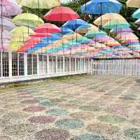 北海道最大級🌈6月しか見られないアンブレラスカイ