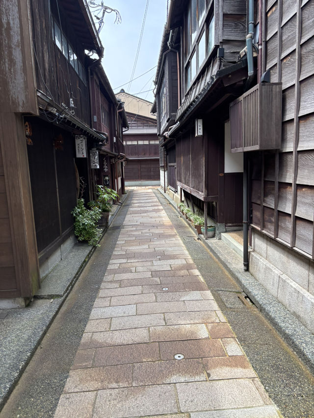 【石川県・金沢市】ひがし茶屋街を散策しよう🚶🚶‍♀️🚶‍♂️