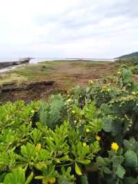 Cijin Island