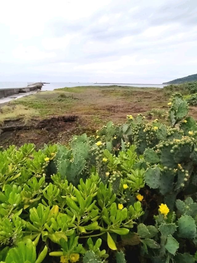 Cijin Island