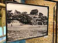 Anping Tree House