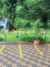 ทริป เที่ยวหุบป่าตาด อุทัยธานี