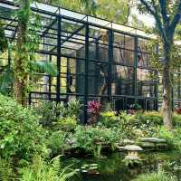🌿🐒 Hong Kong’s Backyard Paradise — Deep Dive into the Zoological & Botanical Gardens!