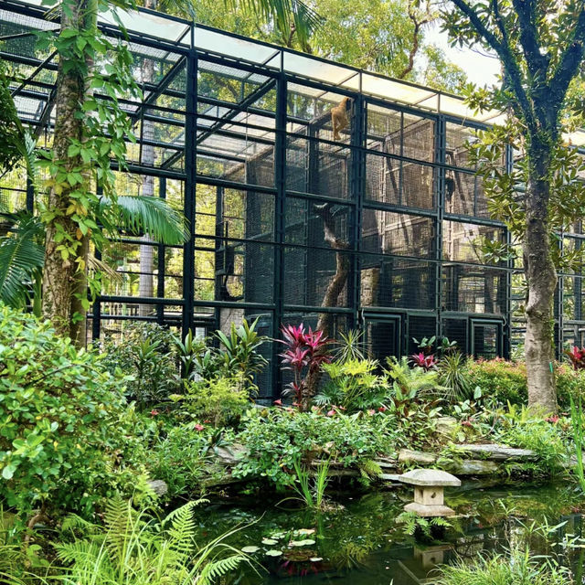🌿🐒 Hong Kong’s Backyard Paradise — Deep Dive into the Zoological & Botanical Gardens!