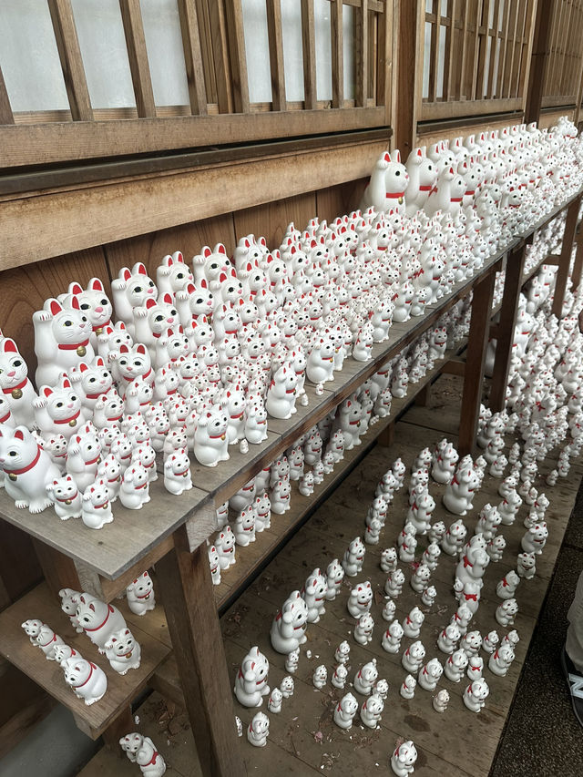 #豪德寺#東京近郊#招財猫#必到景點