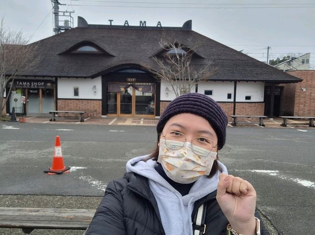 和歌山貓奴必去的小玉電車！