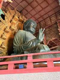 奈良｜5層樓高莊嚴大佛 到聖武天皇蓋的東大寺感受千年歷史