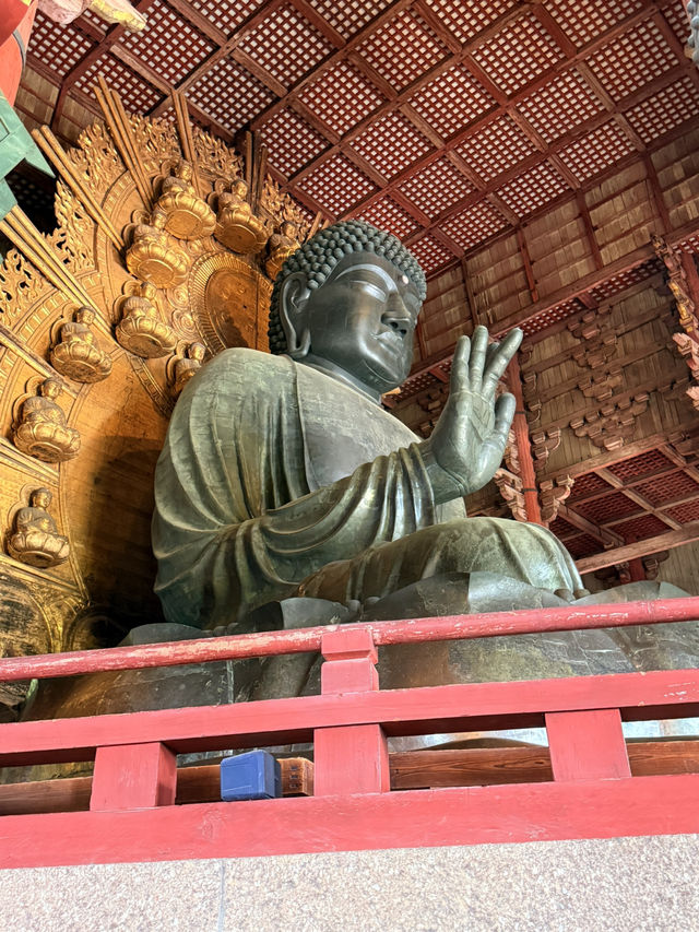 奈良｜5層樓高莊嚴大佛 到聖武天皇蓋的東大寺感受千年歷史
