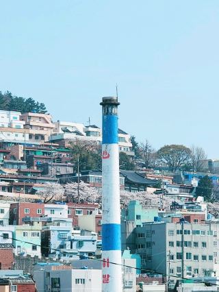 Busan is full of culture