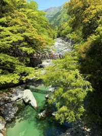 德島｜心跳加速產生戀愛錯覺的橋？ 日本三大奇橋祖谷藤蔓橋