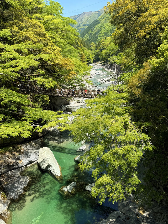 德島｜心跳加速產生戀愛錯覺的橋？ 日本三大奇橋祖谷藤蔓橋