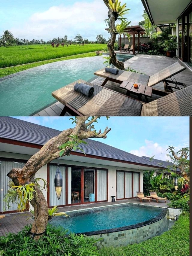 Inara Alas Harum Hotel & Resort: A Romantic Escape into Nature's Embrace. 