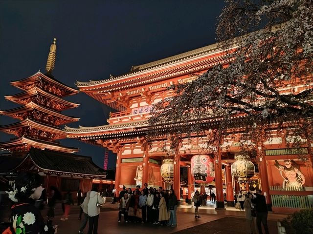 Absolutely! Here’s your Tokyo 3-Day Itinerary (with cherry blossom photo spots)