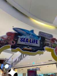 One day trip คนเดียวของสาวอินโทรเวิด (มั้ย?)