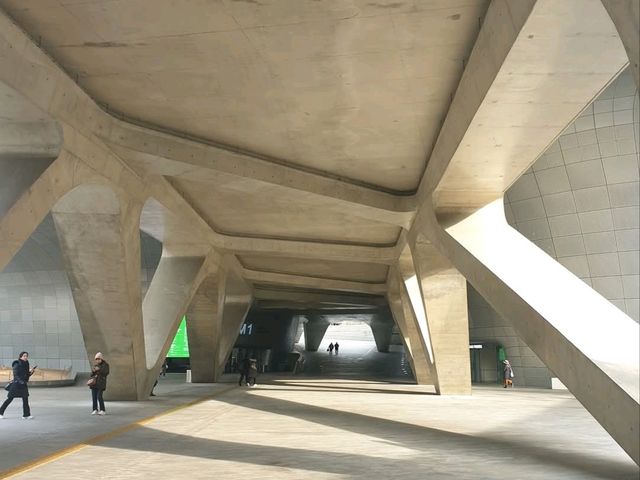 DDP 동대문 DESIGN PLAZA