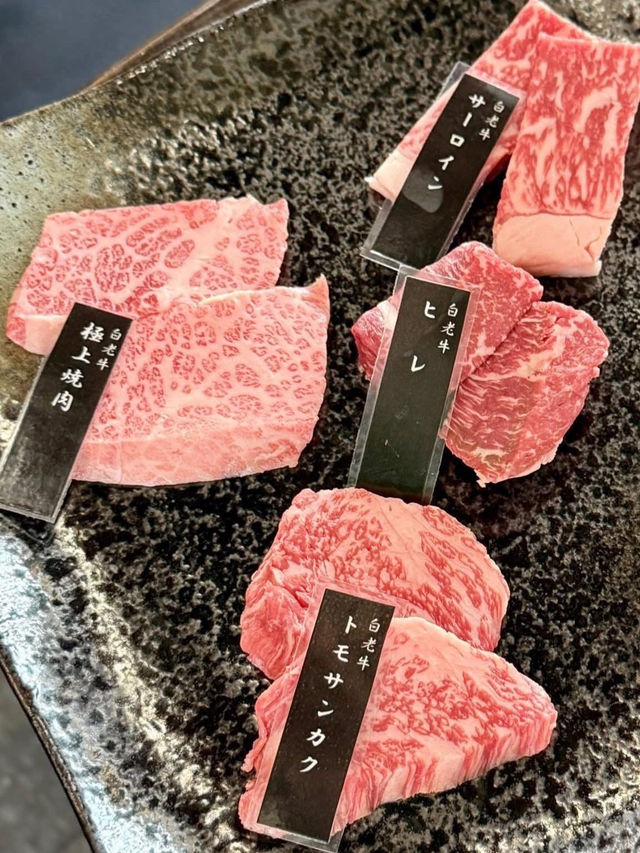 北海道🇯🇵 來白老町沒吃白老牛會被笑🤭