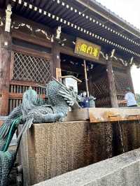 世界遺產‧清水寺（二年坂～三年坂)