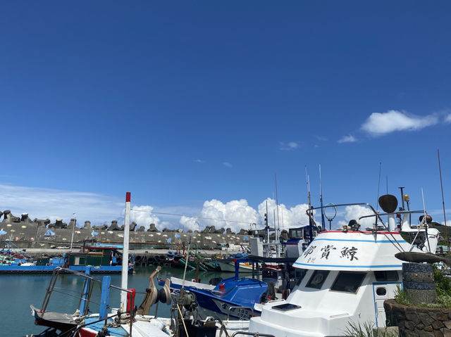 石梯漁港 🐟 賞鯨發源地 岬灣地形
