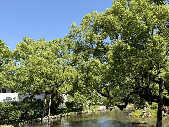 Dazaifu ศาลเจ้าใกล้ fukuoka