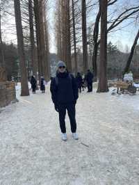 南怡島冬日戀歌：雪白世界裡的浪漫漫遊