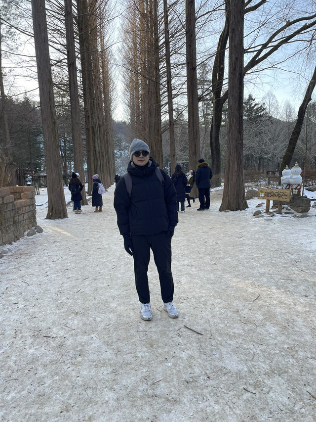 南怡島冬日戀歌：雪白世界裡的浪漫漫遊