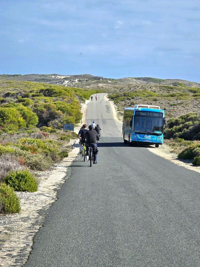 Rottnest Island - Perth Australia