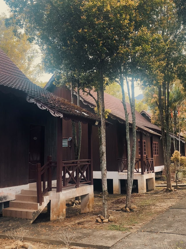 River Breezes & Jungle Vibes: A Weekend in Taman Negara Pahang