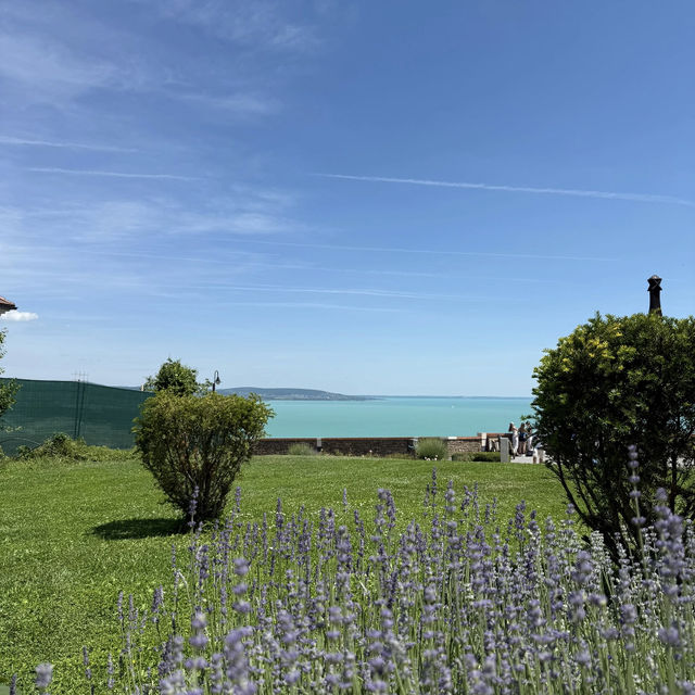 Tihany: Lavender Dreams by Balaton's Jelly Sea! 💜