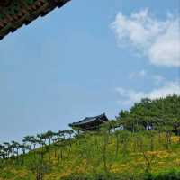 Time Travel (Kinda) in Buyeo
