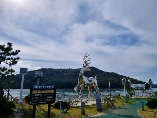 Wandering Around Sorokdo