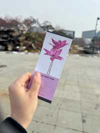 [서울식물원 방문기] 도심 속에서 만나는 초록 힐링 여행🌿