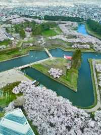 🎯【北海道・五稜郭公園】星型要塞の歴史と桜が彩る、函館の絶景スポット