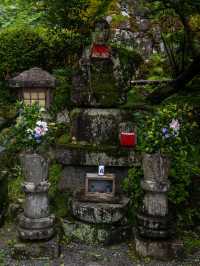 今、奈良で見るべき絶景✨岡寺 あじさゐ回廊開催中5/24~7/6まで✨