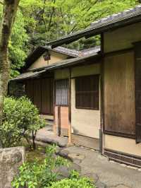 A Serene Harmony of Art & Nature — My Visit to Nezu Museum, Tokyo